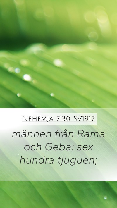 Nehemja 7:30 SV1917 Bible Verse Image