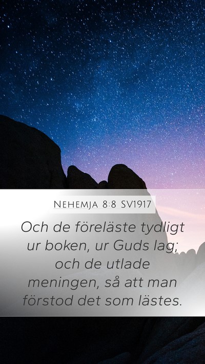 Nehemja 8:8 SV1917 Bible Verse Image