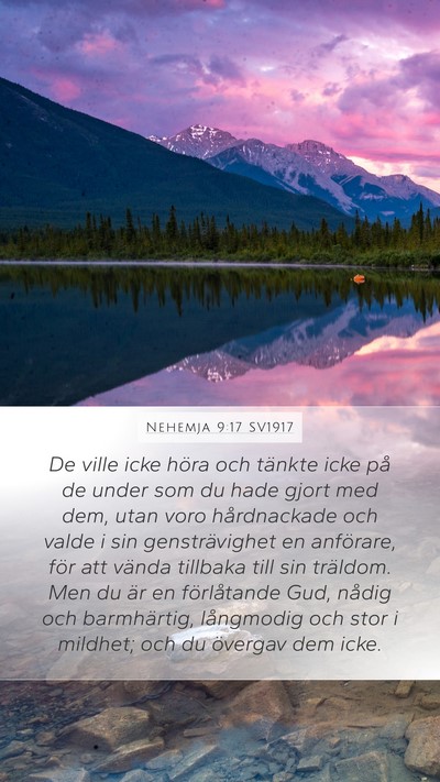 Nehemja 9:17 SV1917 Bible Verse Image