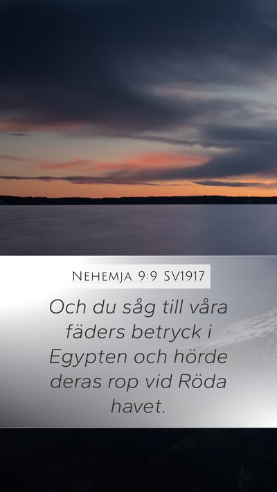 Nehemja 9:9 SV1917 Bible Verse Image