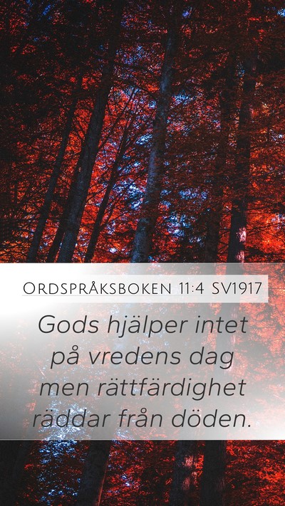 Ordspråksboken 11:4 SV1917 Bible Verse Image