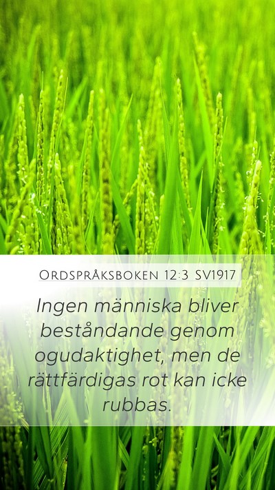 Ordspråksboken 12:3 SV1917 Mobile Phone Wallpaper - Ingen människa bliver beståndande genom - Mobile Bible Verse Wallpaper