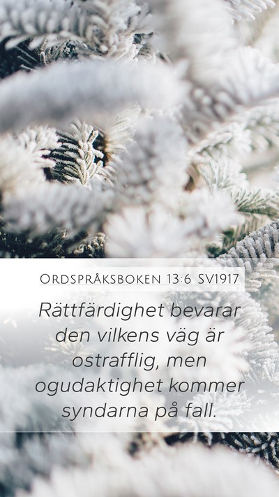 Ordspråksboken 13:6 SV1917 Bible Verse Image