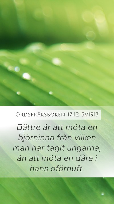Ordspråksboken 17:12 SV1917 Bible Verse Image