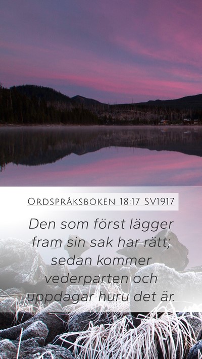 Ordspråksboken 18:17 SV1917 Bible Verse Image