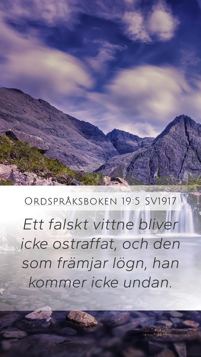 Ordspråksboken 19:5 SV1917 Bible Verse Image