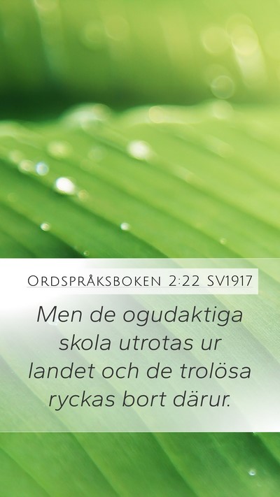 Ordspråksboken 2:22 SV1917 Bible Verse Image