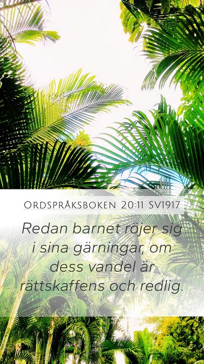 Ordspråksboken 20:11 SV1917 Bible Verse Image