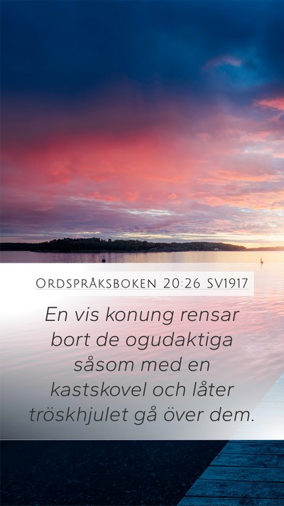 Ordspråksboken 20:26 SV1917 Bible Verse Image