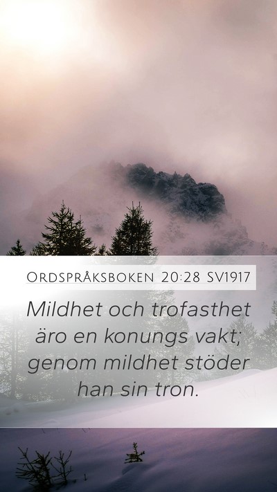 Ordspråksboken 20:28 SV1917 Bible Verse Image
