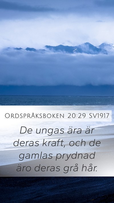 Ordspråksboken 20:29 SV1917 Bible Verse Image