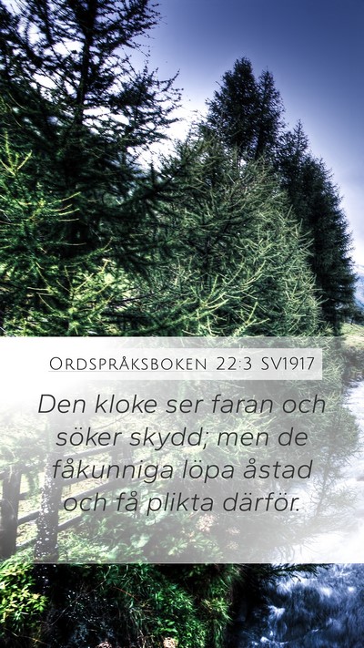 Ordspråksboken 22:3 SV1917 Bible Verse Image