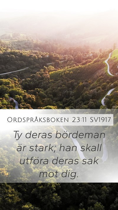 Ordspråksboken 23:11 SV1917 Bible Verse Image