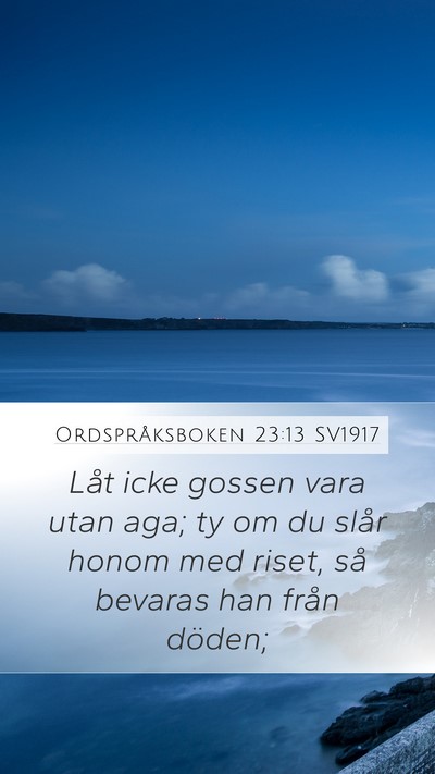 Ordspråksboken 23:13 SV1917 Bible Verse Image