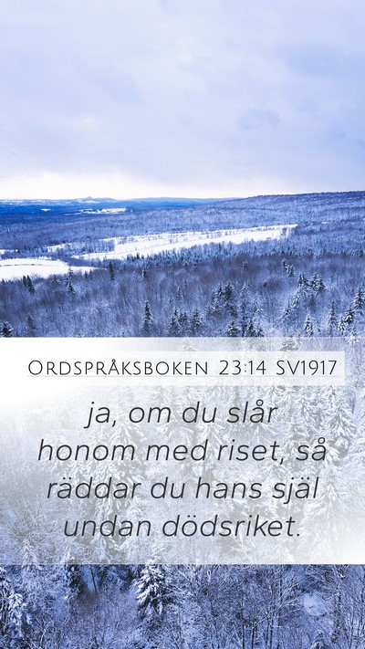 Ordspråksboken 23:14 SV1917 Bible Verse Image