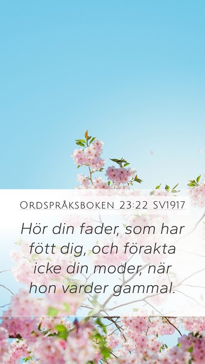 Ordspråksboken 23:22 SV1917 Bible Verse Image
