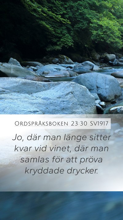 Ordspråksboken 23:30 SV1917 Bible Verse Image