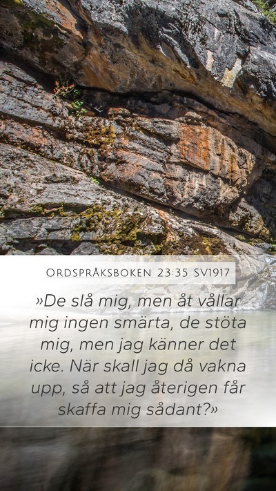 Ordspråksboken 23:35 SV1917 Bible Verse Image