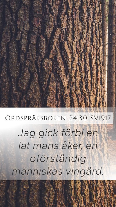 Ordspråksboken 24:30 SV1917 Bible Verse Image