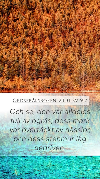 Ordspråksboken 24:31 SV1917 Mobile Phone Wallpaper - Och se, den var alldeles full av ogräs, dess - Mobile Bible Verse Wallpaper