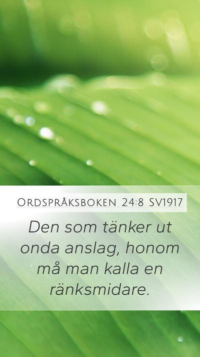 Ordspråksboken 24:8 SV1917 Mobile Phone Wallpaper - Den som tänker ut onda anslag, honom må man - Mobile Bible Verse Wallpaper