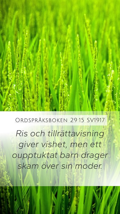 Ordspråksboken 29:15 SV1917 Bible Verse Image