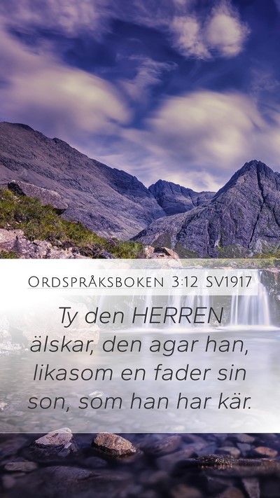 Ordspråksboken 3:12 SV1917 Bible Verse Image