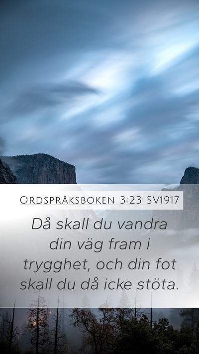 Ordspråksboken 3:23 SV1917 Bible Verse Image