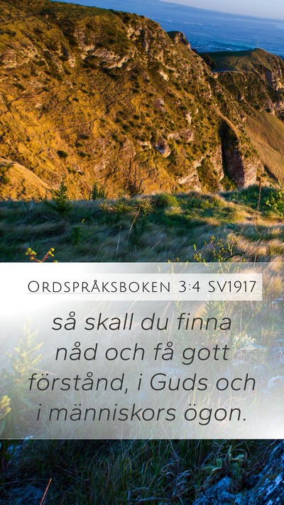 Ordspråksboken 3:4 SV1917 Bible Verse Image
