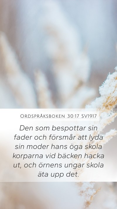 Ordspråksboken 30:17 SV1917 Bible Verse Image