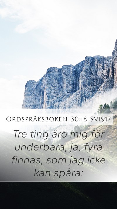 Ordspråksboken 30:18 SV1917 Mobile Phone Wallpaper - Tre ting äro mig för underbara, ja, fyra - Mobile Bible Verse Wallpaper
