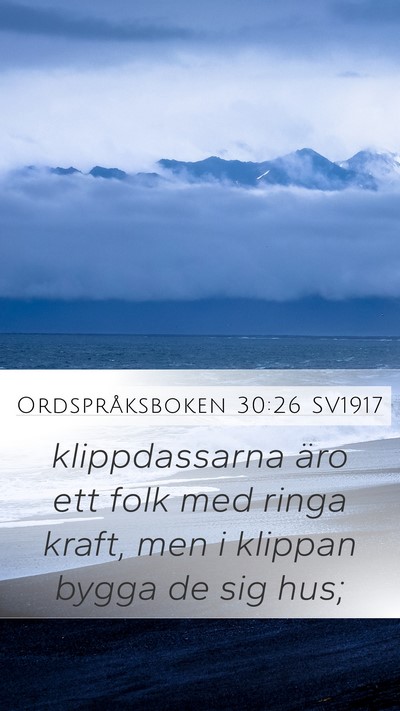 Ordspråksboken 30:26 SV1917 Mobile Phone Wallpaper - klippdassarna äro ett folk med ringa kraft, men - Mobile Bible Verse Wallpaper