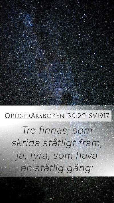 Ordspråksboken 30:29 SV1917 Bible Verse Image