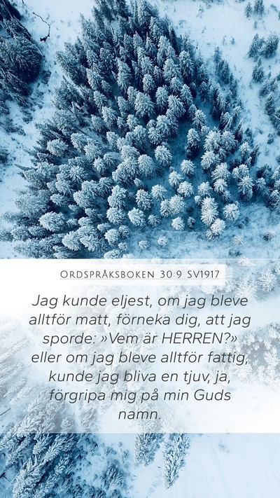 Ordspråksboken 30:9 SV1917 Bible Verse Image
