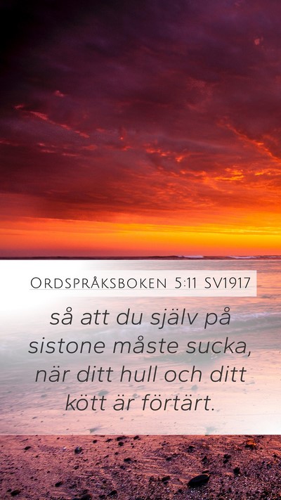 Ordspråksboken 5:11 SV1917 Mobile Phone Wallpaper - så att du själv på sistone måste sucka, när - Mobile Bible Verse Wallpaper