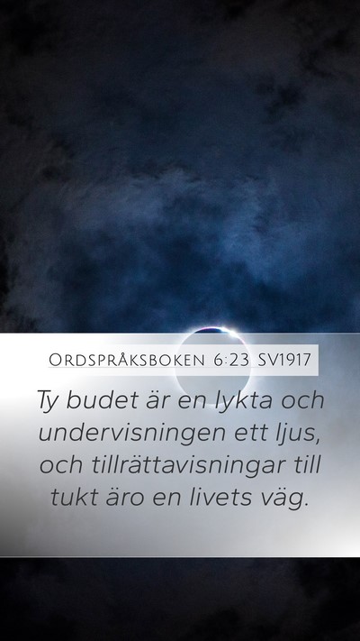 Ordspråksboken 6:23 SV1917 Bible Verse Image