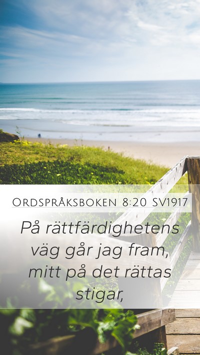 Ordspråksboken 8:20 SV1917 Bible Verse Image