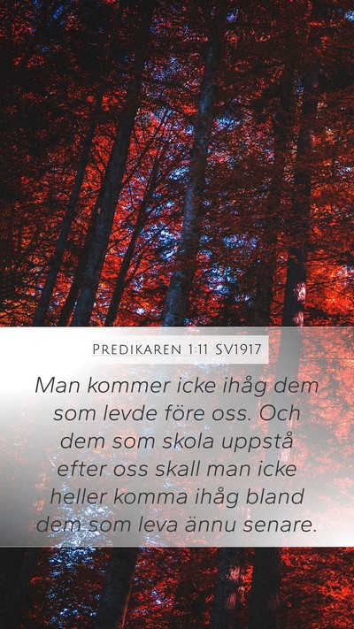 Predikaren 1:11 SV1917 Mobile Phone Wallpaper - Man kommer icke ihåg dem som levde före oss. - Mobile Bible Verse Wallpaper