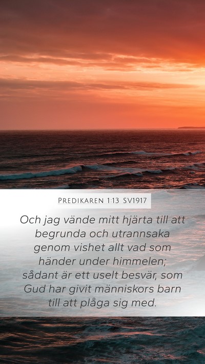 Predikaren 1:13 SV1917 Bible Verse Image