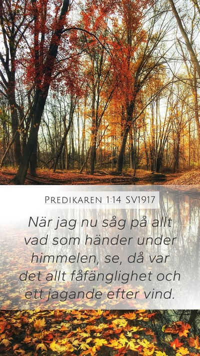Predikaren 1:14 SV1917 Bible Verse Image