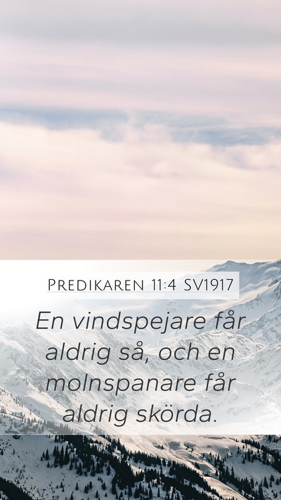 Predikaren 11:4 SV1917 Bible Verse Image