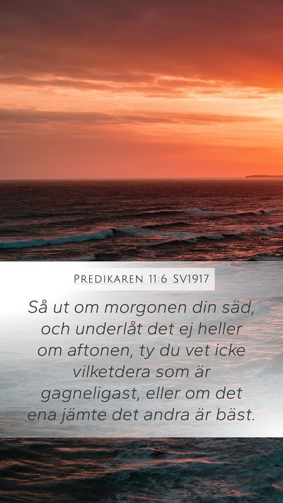Predikaren 11:6 SV1917 Bible Verse Image