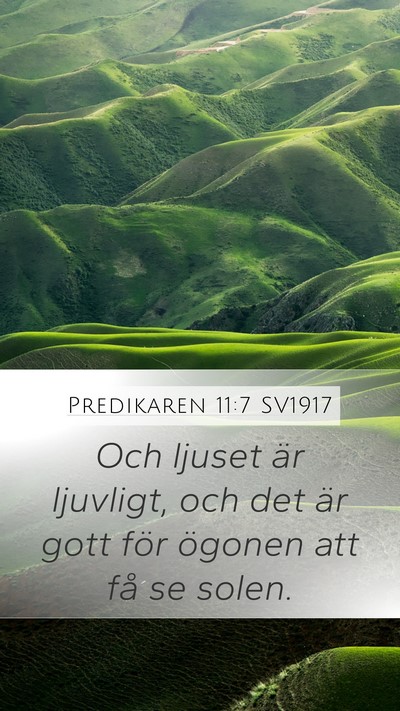 Predikaren 11:7 SV1917 Bible Verse Image
