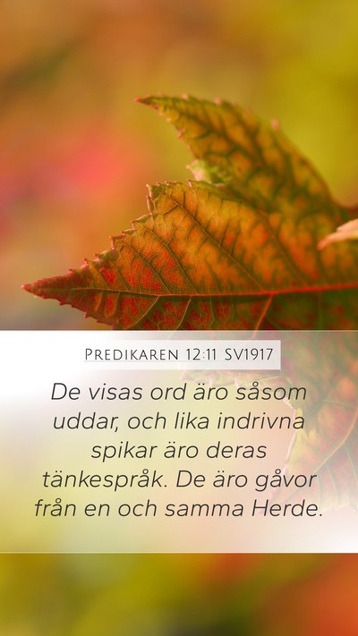 Predikaren 12:11 SV1917 Bible Verse Image