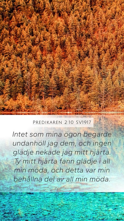 Predikaren 2:10 SV1917 Bible Verse Image
