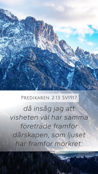 Predikaren 2:13 SV1917 Bible Verse Image