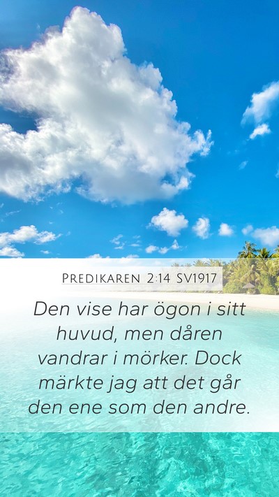 Predikaren 2:14 SV1917 Mobile Phone Wallpaper - Den vise har ögon i sitt huvud, men dåren - Mobile Bible Verse Wallpaper