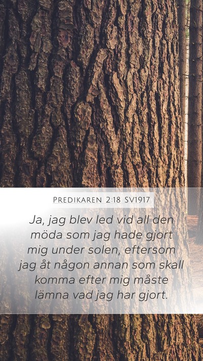 Predikaren 2:18 SV1917 Bible Verse Image