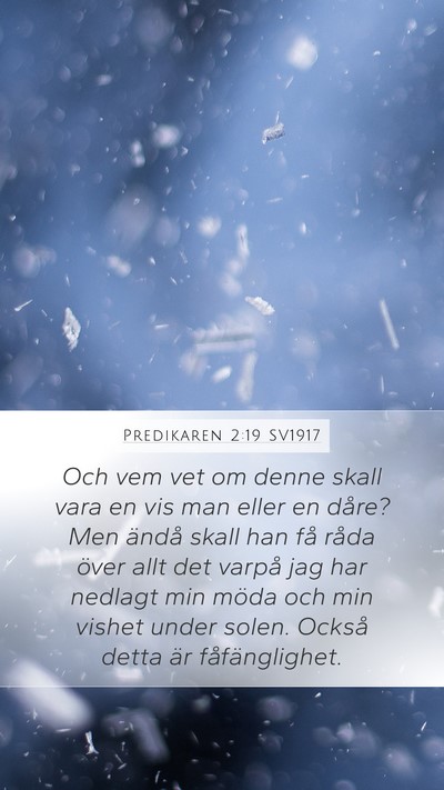 Predikaren 2:19 SV1917 Bible Verse Image