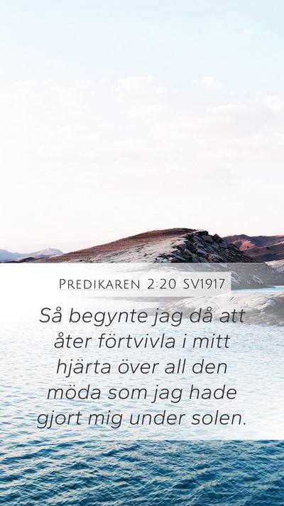 Predikaren 2:20 SV1917 Bible Verse Image